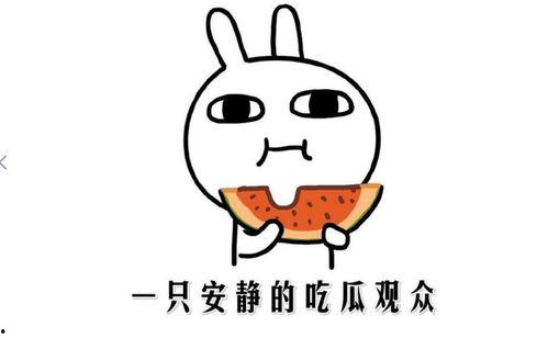 吃瓜网,吃瓜网带你领略明星幕后故事