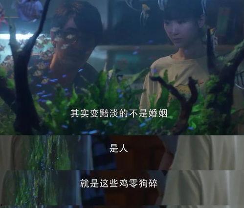 暗黑爆料在线吃 适合二人夫妻观看的视频