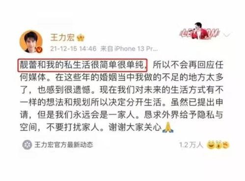 2025十大热点事件 娱乐圈吃瓜代号蜜蜂是谁,揭秘代号蜜蜂的神秘人物